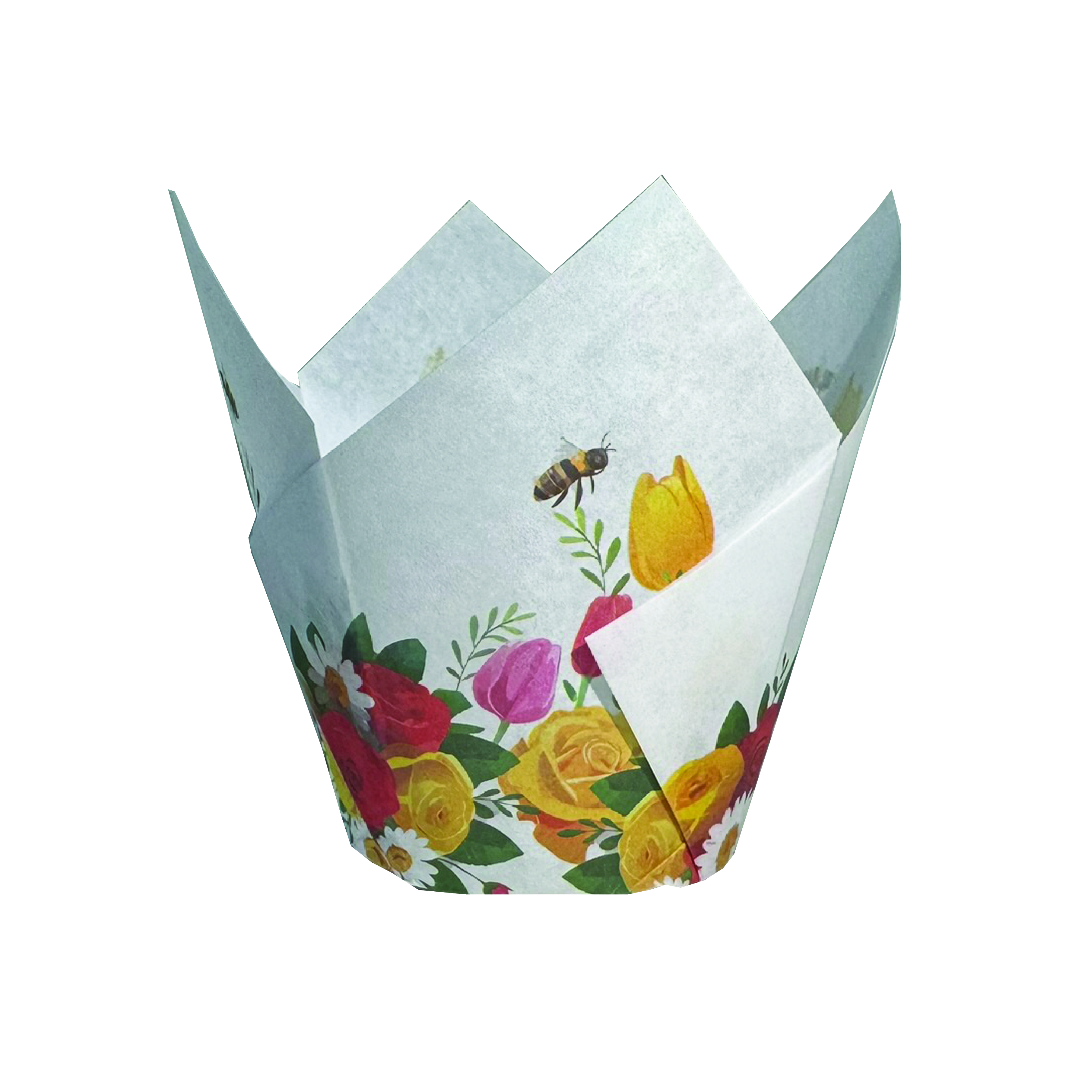 Tulipas Flores